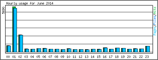 Hourly usage