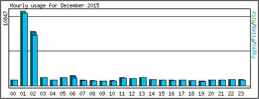 Hourly usage